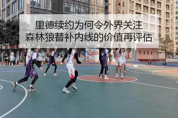 里德续约为何令外界关注 森林狼替补内线的价值再评估